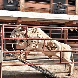 Meet your Posher, Maximo